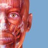 医療・健康管理サポートのヘッダー画像 医療・健康管理サポートのヘッダー画像